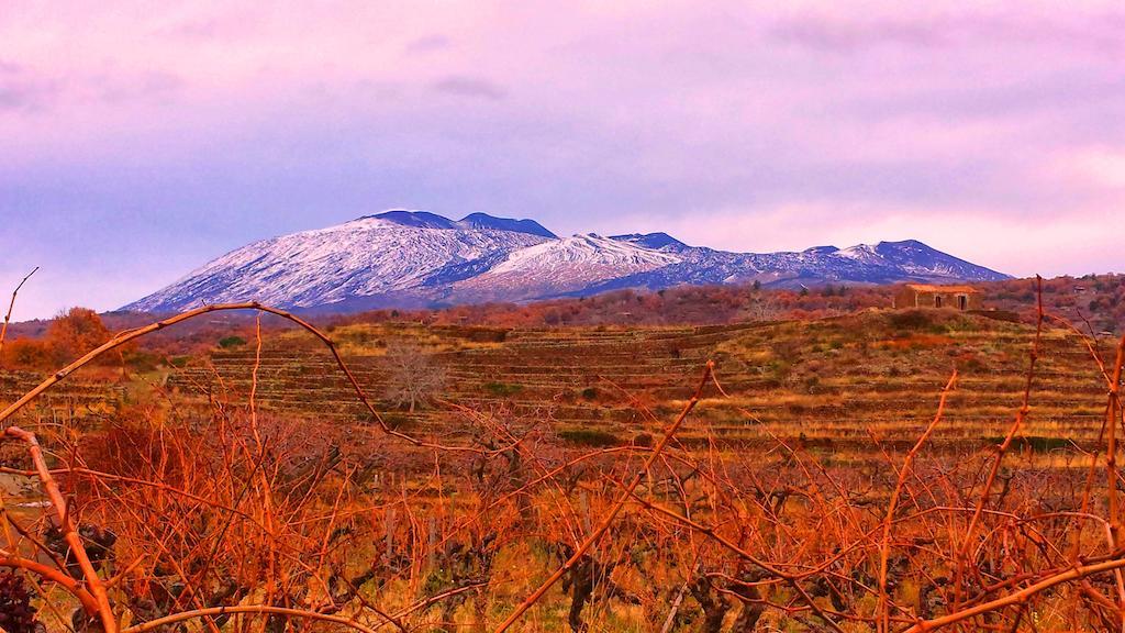 Etna Holiday Home Nicolosi Luaran gambar