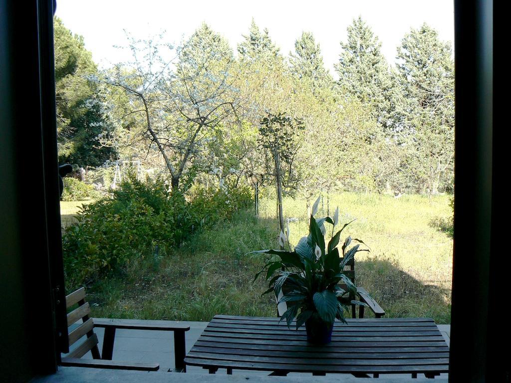 Etna Holiday Home Nicolosi Luaran gambar